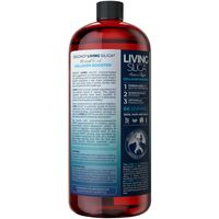 Living Silica - Collagen Booster